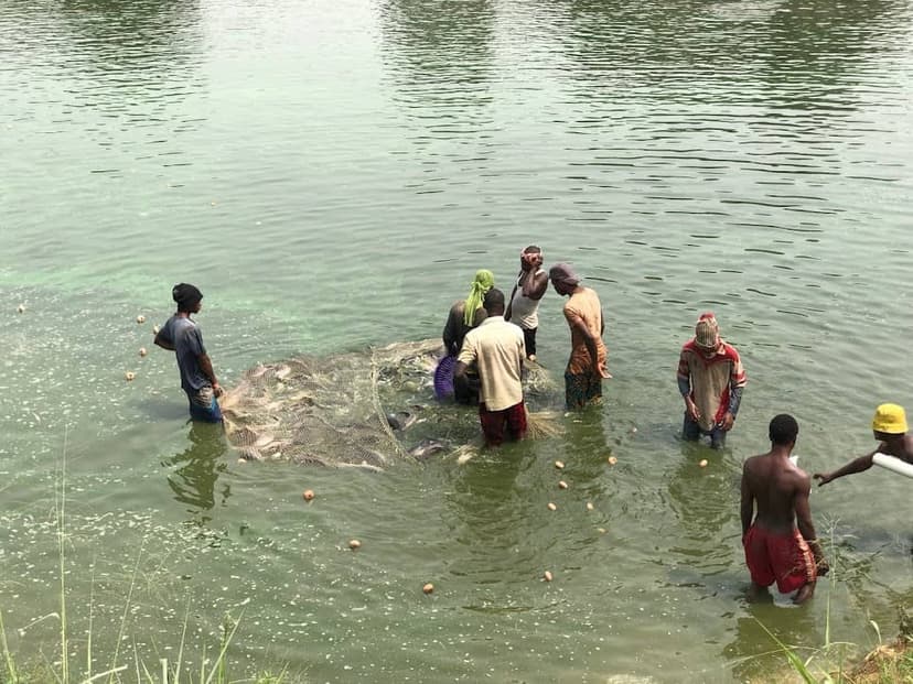 Two women tending to plants in a greenhouse
